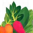 新鮮な野菜のアイコン